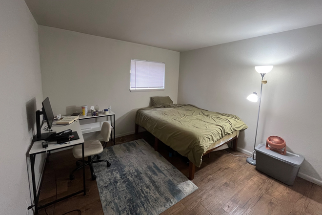 Bed; lamp; storage box - One Bedroom Available in 3 Bed 1 Bath Unit! Close to Campus! Apartments