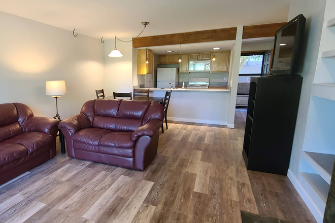 Living room, furnished, wood burning fireplace - Hidden Gem, 2bdrm, 1bath, clean, quiet, next to park, green space, trails, in unit laundry Condo