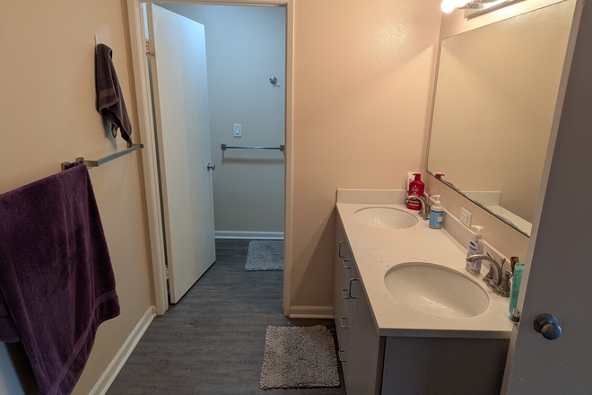Shared Bathroom area, toilet and shower in own room. - Campus Village Apartments