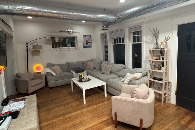 Living Room - Treehouse