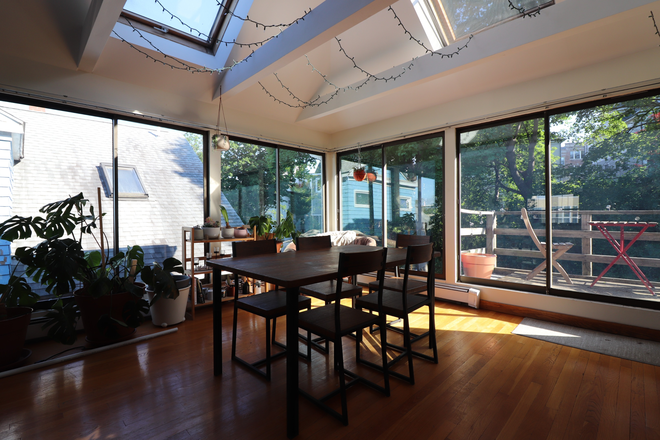 dining room - Massive Brookline 5 bed/2 bath with in unit laundry and 2 decks - NO FEE! Duplex