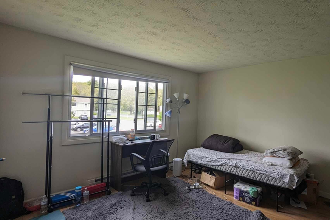 Bed - Private Living Space Available – Colonial Village (Male Roommate Wanted) Apartments