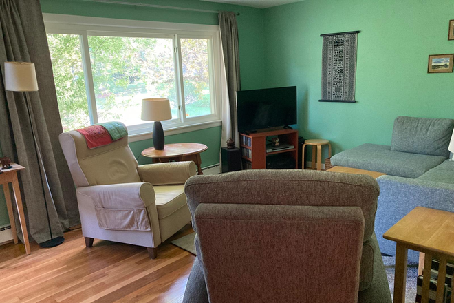 Living room - Comfortable small house with large yard, abundant plants and trees, in quiet neighborhood
