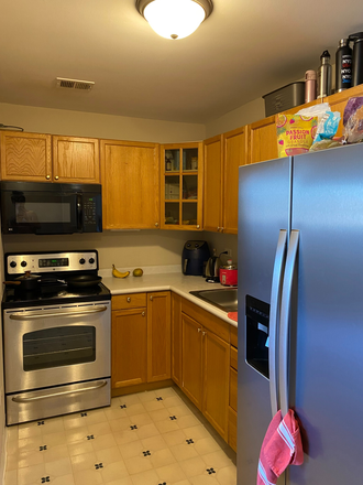 Kitchen - 607 W. Wrightwood Ave. Apt 613 Summer Sublease