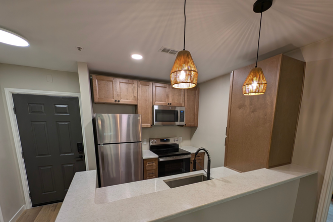 All new appliances and quartz countertop bartop - Completely Updated 4BR/4BA Raleigh Condo| On Wolfline | Available 08/01 | $2800/mo Util Incld