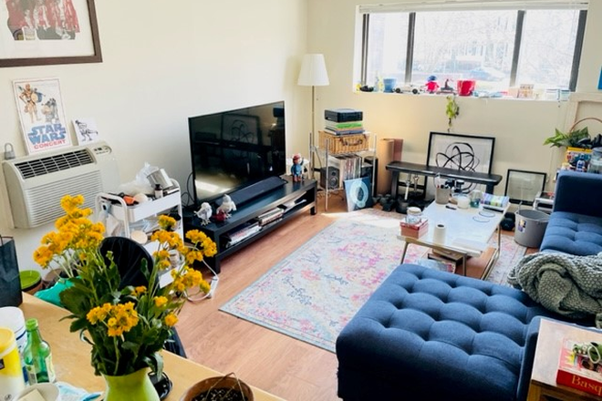 living - in heart of Central sq, minutes to redline, HBS, MIT, shops