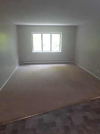 Living room - Spacious 3rd floor 2 bed, 2 Bath apartment close to campus and Wayland Square.  Available NOW!