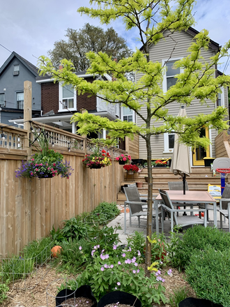 Backyard - Spacious Home in Leslieville — 3BR, 2BA, Furnished, Backyard & Parking
