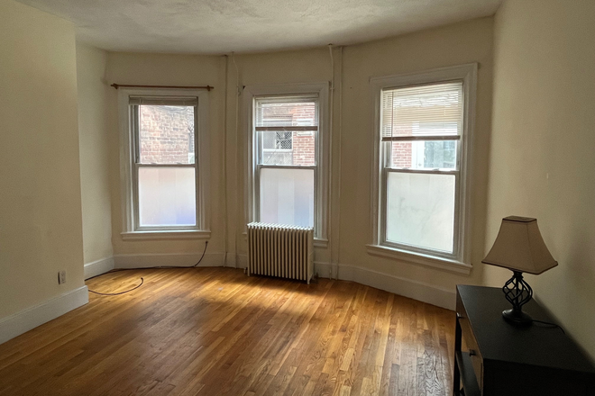 front living rom - 1 bedroom/1 bath in brookline village near longwood medical avail 10/30 OR 11/1 Condo