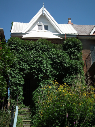 house front - Shared house downtown for International students/travellers