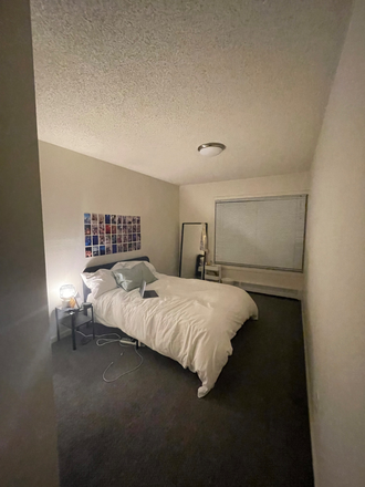 Bedroom - Cheap spring sublease - girls only! Apartments