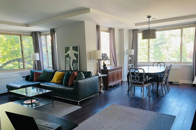 View at front door - Beautifully Renovated Sun-Filled Apartment with Parking ~1.5 miles from Medical School and Campus