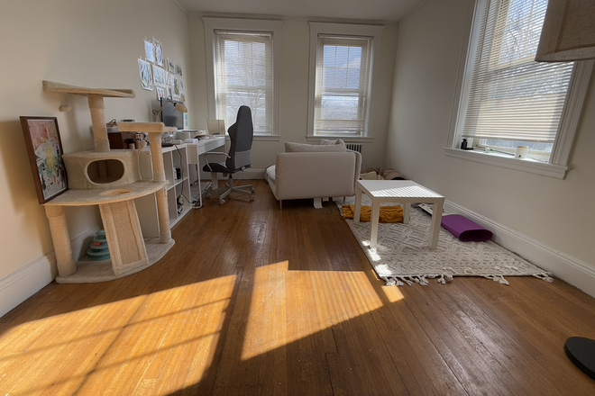 1 - JUNE 2025 - HUGE Brighton 1bed, HEAT/HW Includ., Fitness Room, Laundry! Cats allowed! Apartments