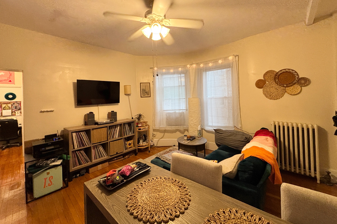 living room - Charming Coolidge Corner 1 bed for 9/1 - NO FEE!