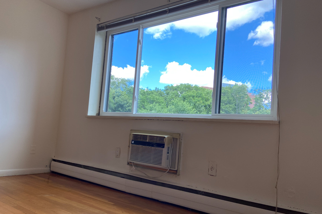 Living Room Window - Bright and Sunny Top FL 2 BR Apt in Longwood Medical Area, Brookline, MA