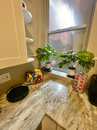 Kitchen window - Huge 2BR Near Johns Hopkins Hospital Apartments