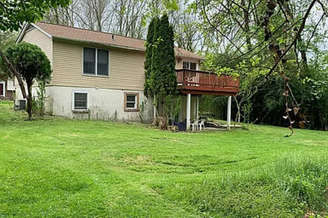 Back yard / Patio - Single home house Large parking lot