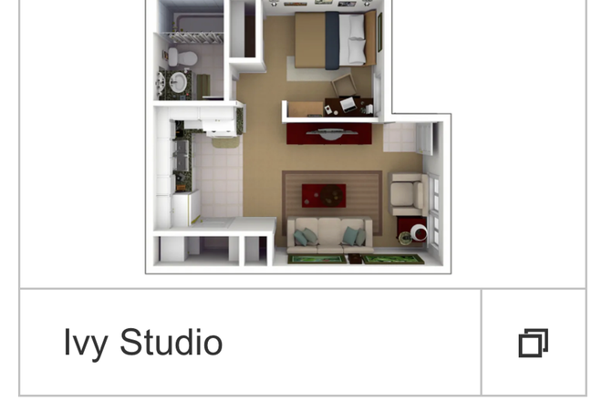 Studio layout - The ivy apartments, walking distance to campus.