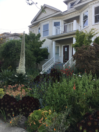 Beautiful garden surrounds this home - Furnished room walking distance to campus and the lab bus in the convenient Elmwood district Condo