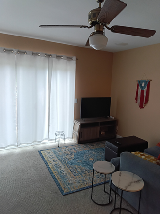 Living Room - Room in Condo Close to Campus