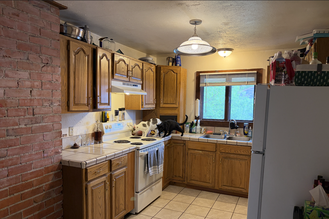 Kitchen - Apartment, 5 minute walk from campus