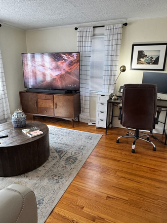 TV and one of the work stations. - Furnished Apt in Charming Neighborhood Near Campus for December and January
