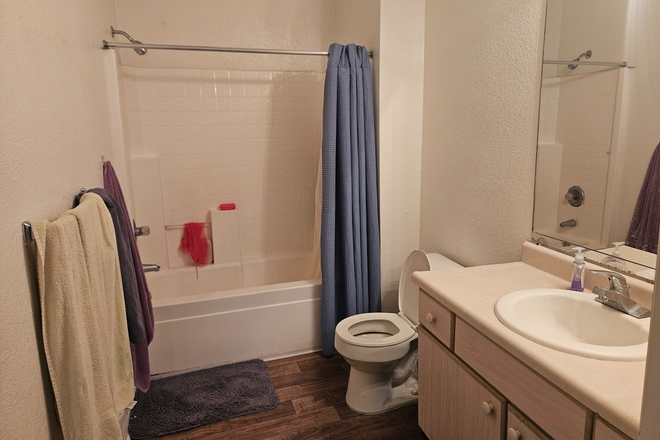 2nd bathroom - Costa Verde Apartment, female roommates wanted!!