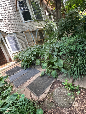 Exterior entrance - Furnished 1 bedroom basement apartment with kitchenette