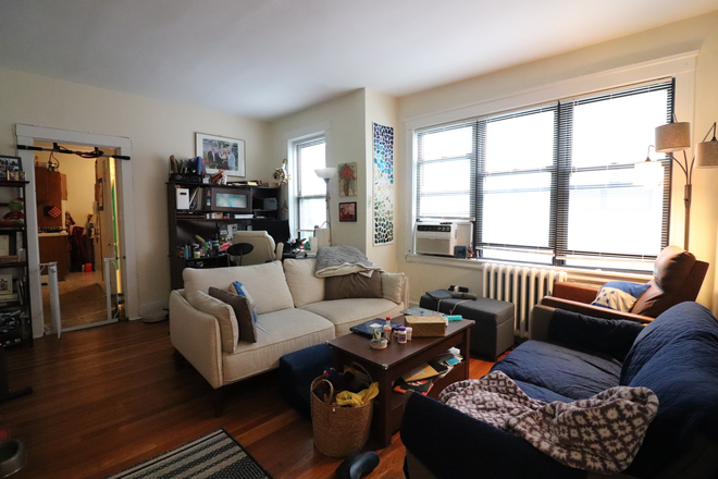 living room - Sunny Brookline 1 bedroom for August 1 Apartments
