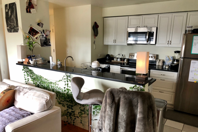 Call call or text Arezou at 617-584-7817 - COMM AVE - RARELY AVAILABLE 1 BED CONDO ON TOP FLOOR!!!!!