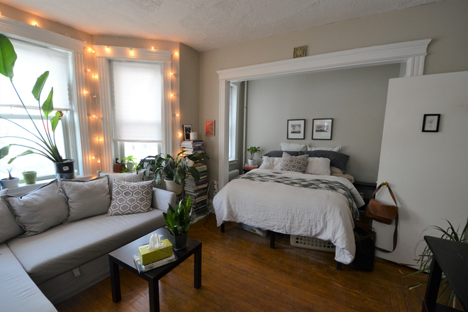 Studio Alcove - Gorgeous Alcove Studio on Peterborough St - Available 9/1/26 Apartments