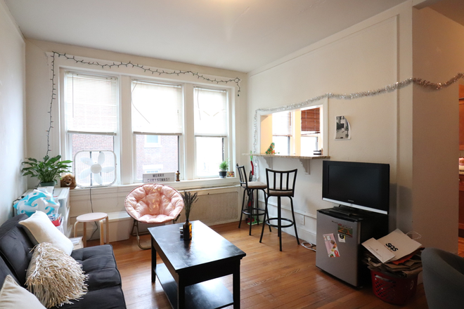 living room - Bright & Spacious 1-Bedroom, 1-Bathroom Apartment for 9/1