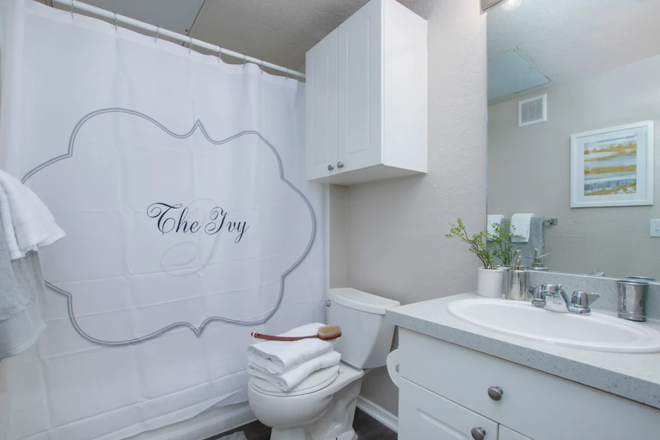 Bathroom - Sublease Available Near USF — The Ivy Apartments Tampa