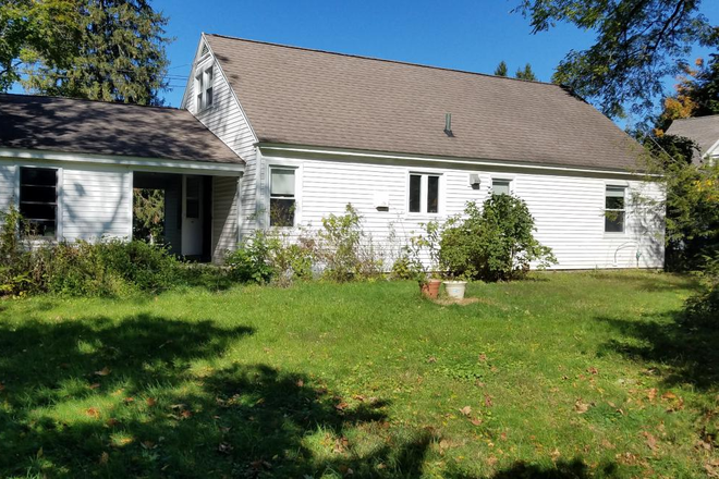 back of house - 151 Montague Rd, Amherst - newly renovated 4 bd house