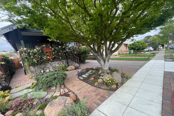 Front Garden - Charming & Spacious Albany Home in Great Neighborhood off Solano Ave.