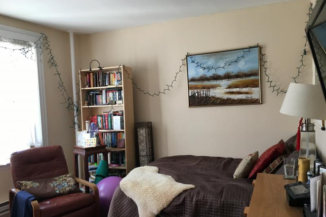 Hub Realty - Fenway, huge studio with a nice view of the park
