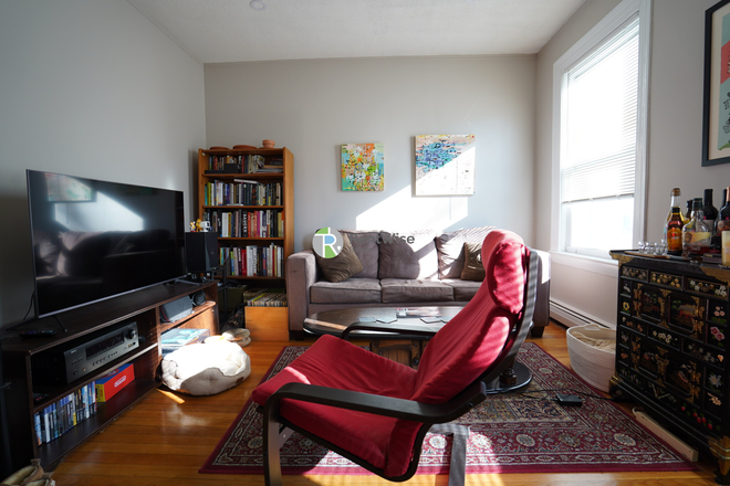 . - AUG 2025-Gorgeous Allston 1 bed, Recently Renovated. Cat ok! Student Friendly! Apartments