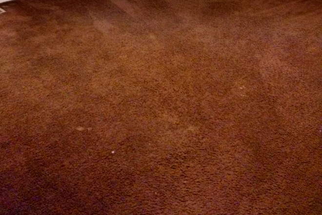 Large main level rear BR $775/m - Walk to UMD/Trader Joe's/Whole Foods 3 BR available House