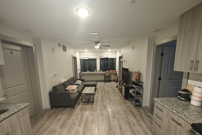 Living Room with large trail-facing windows - 1 Private Bedroom with Attached Bathroom in a 4B4B at The Nine Apartments