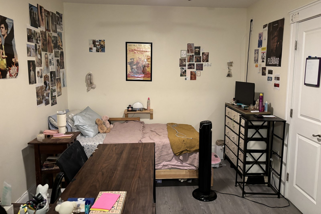 Studio - Large Studio Available 9/1/26! *CONTACT NOAH 603-470-8181 Apartments