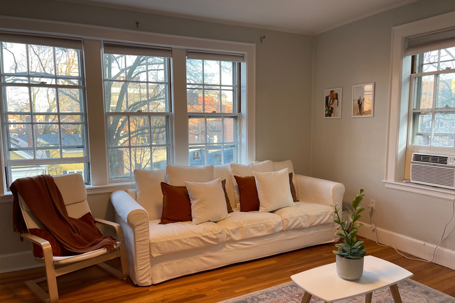 Living Room - Stunning 1BR near Harvard Square | $3,250/mo | Available June 1 Apartments