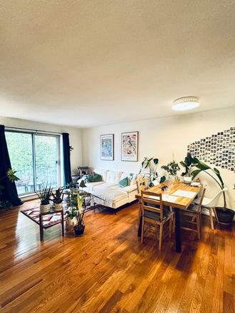 Living room 2 - Private Room for Rent in 2beds/1bath apartment $1420/month - Jamaica Plain