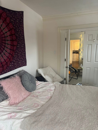 Bedroom facing living room - Super cute bedroom with fireplace in shared apartment one block from campus