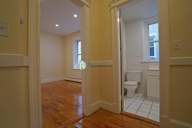 1 - FEB 2026-Gorgeous Comm Ave Studio, H/HW inc. Cat ok, NO FEE Apartments