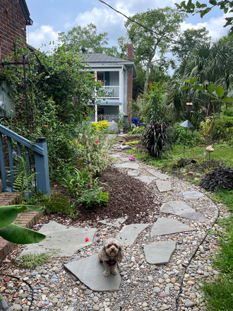 Path to Laundry and workshop - Charming Guest suite in  Old Windermere Home, Private entrance, Kitchenette,