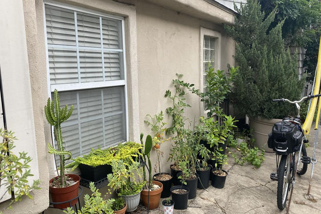 Back Patio of Kincaid Cottage - 1 Bedroom Apartment Walkable to Rice University in Historic Boulevard Oaks