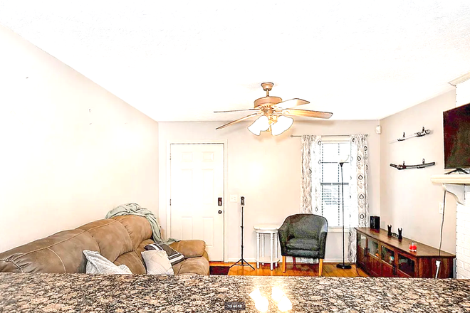 Living Room - Tiger Inn East – Walk to Campus with Tiger Transit at Your Doorstep! Condo