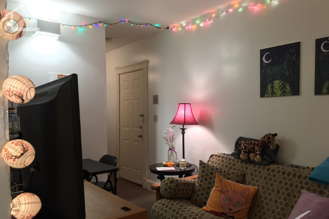 Living room - BEST DEAL IN BU SOUTH-TAKE A LOOK! 9/1/25 Apartments