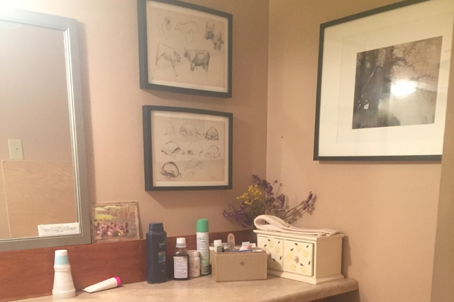 Bathroom 1 - Alleghany Street House