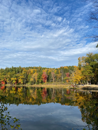 Puffers Ponds - Comfy apartment, close to campus, walking distance to Puffors ponds, waterfall, and Mill River